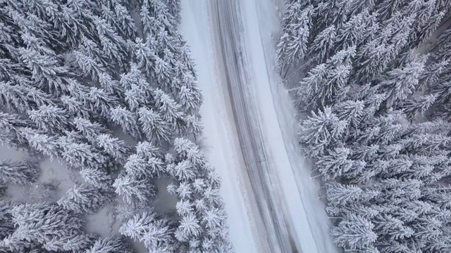 冬季森林道路鸟瞰图视频素材