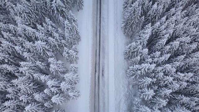 空中飞行冬季森林与道路视频素材