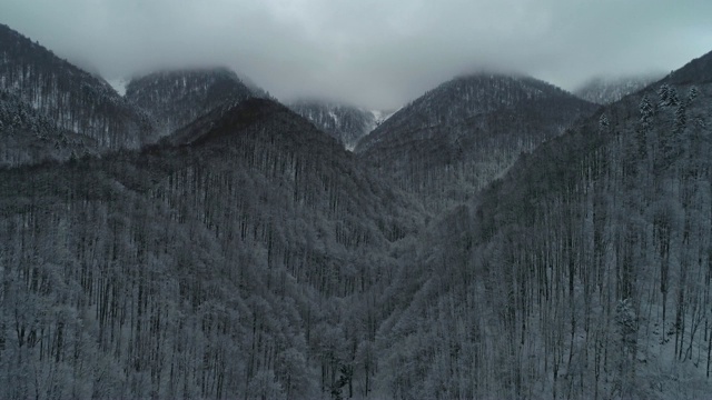 鸟瞰图的冬季山在雾，在白雪覆盖的森林视频素材