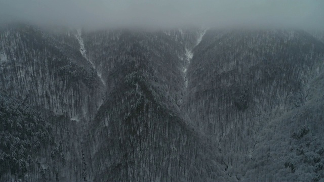 鸟瞰图的冬季山在雾，在白雪覆盖的森林视频素材