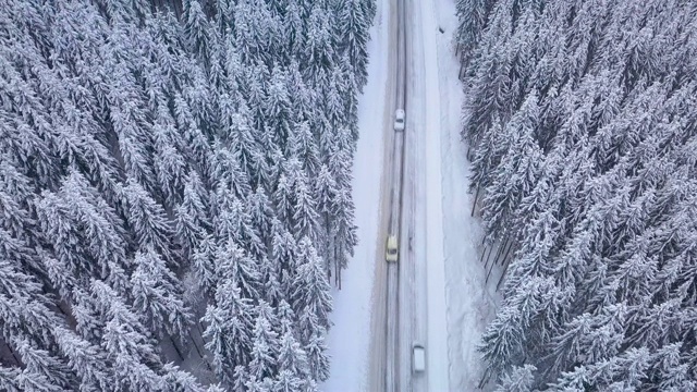 空中飞行冬季森林与道路视频素材