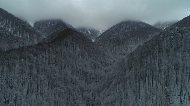 鸟瞰图的冬季山在雾，在白雪覆盖的森林视频素材