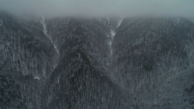 鸟瞰图的冬季山在雾，在白雪覆盖的森林视频素材