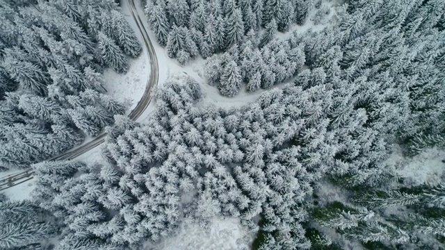 鸟瞰图的冬季山在雾，在白雪覆盖的森林视频素材