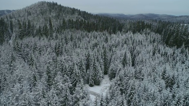 鸟瞰皑皑的松林和山路，深雪覆盖，白帽林地，全景，不同视角视频素材