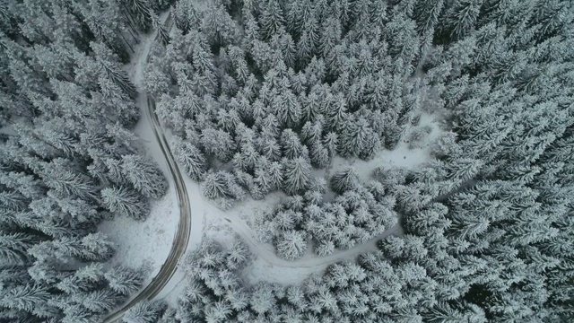 鸟瞰图雪峰松林，深雪覆盖，白帽林地，全景，视频素材