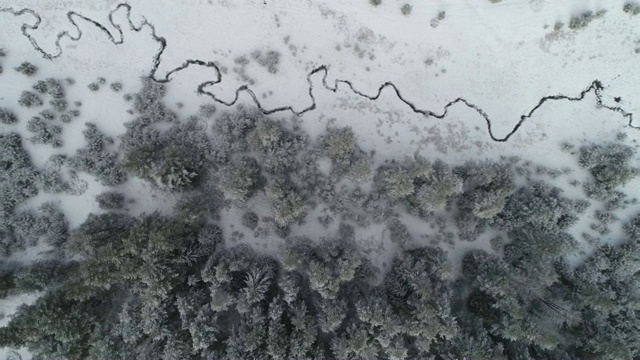 鸟瞰积雪覆盖的松林和蜿蜒的小溪，深雪覆盖，白帽林地，全景，冻结的河床视频素材