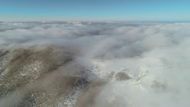 鸟瞰图上的雪山森林与低晨雾，深雪覆盖，白色帽子林地，全景，不同的视角视频素材