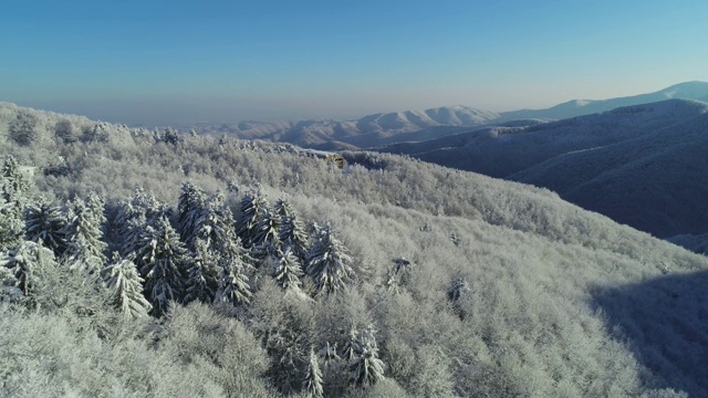 鸟瞰皑皑的松林和山路，深雪覆盖，白帽林地，全景，不同视角视频素材