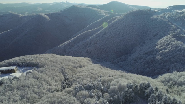 鸟瞰图的雪冠松林，深雪覆盖，白色帽子林地，全景，不同的视角视频素材