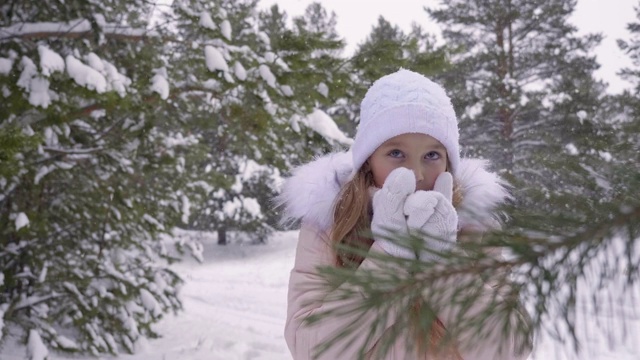 寒冷的少女在冬天下雪的森林里行走在霜冻的日子里视频素材