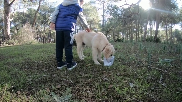 男孩和他的宠物在森林里视频素材