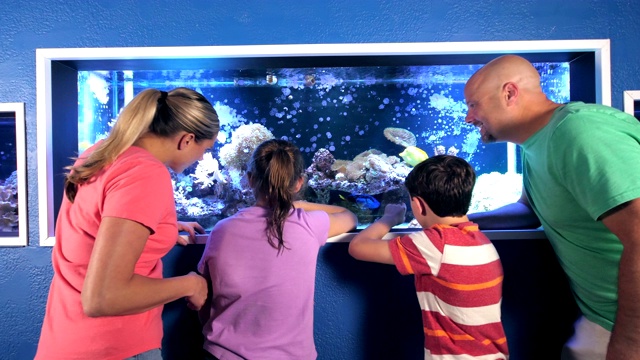 一家人在水族馆里观察一个咸水鱼缸视频素材画面1