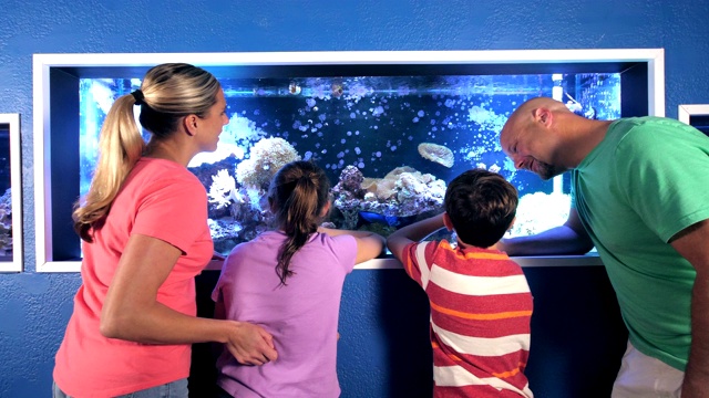 一家人在水族馆里观察一个咸水鱼缸视频素材画面2