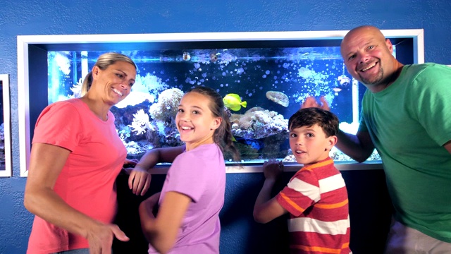 一家人在水族馆里观察一个咸水鱼缸视频素材画面3