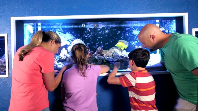 一家人在水族馆里观察一个咸水鱼缸视频素材画面4