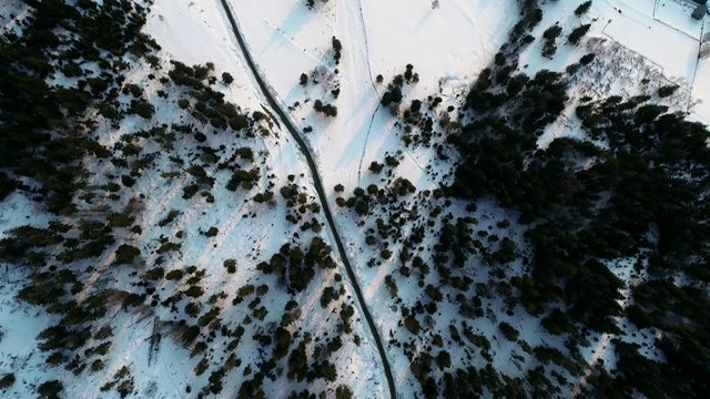 雪山和大绿树的全景。鸟瞰乌克兰喀尔巴阡山脉的野生植物视频素材