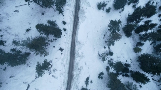 雪山和大绿树的全景。鸟瞰乌克兰喀尔巴阡山脉的野生植物视频素材