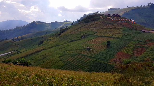 云雾和山地景观，蒙贾姆山，清迈，泰国视频素材