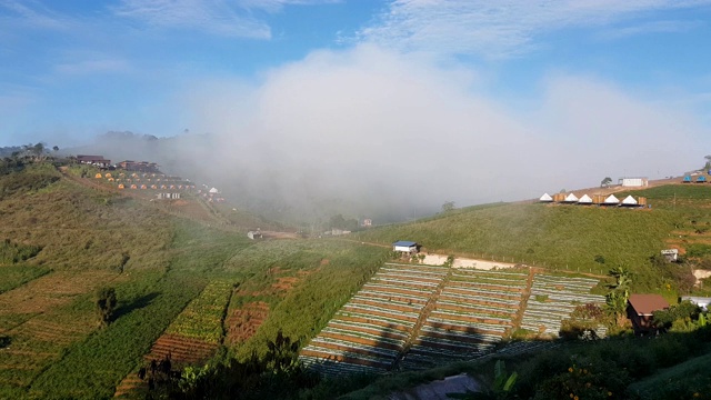 云雾和山地景观，蒙贾姆山，清迈，泰国视频素材