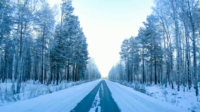 路穿过冬天的森林。间隔拍摄录像视频素材