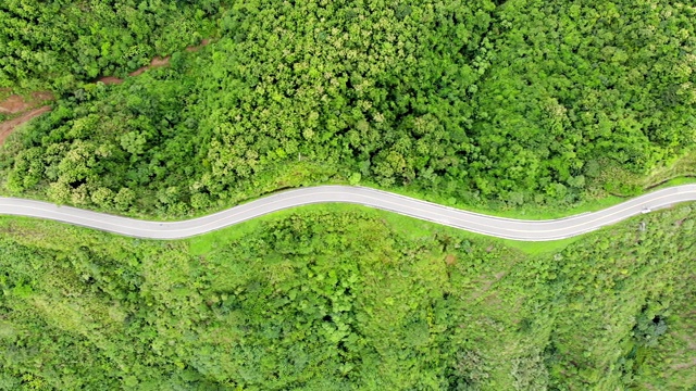 上面的柏油公路穿过山谷顶部的热带雨林视频素材