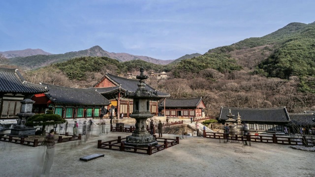 韩国全罗南道古里根市的槐树寺(国家文化遗产)大恩全殿石灯视频素材