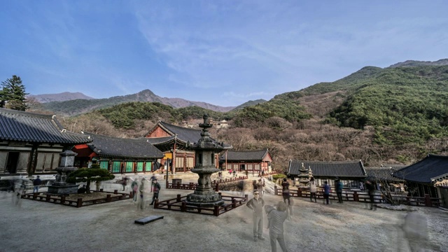 韩国全罗南道古里根市的槐树寺(国家文化遗产)大恩全殿石灯视频素材