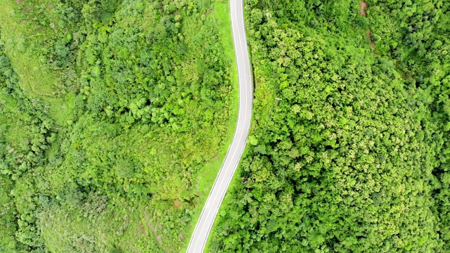 上面的柏油公路穿过山谷顶部的热带雨林视频素材