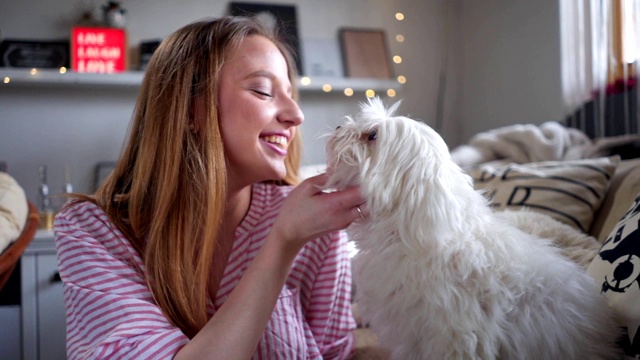 女孩在家里抚摸她的马耳他犬视频素材