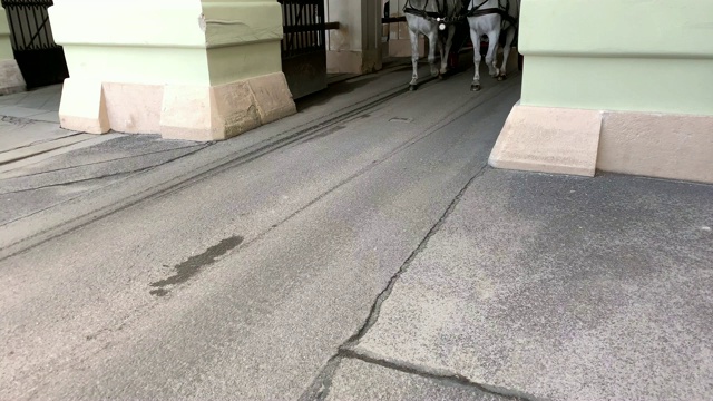 菲克马画维也纳视频素材画面1
