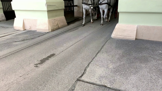 菲克马画维也纳视频素材画面2