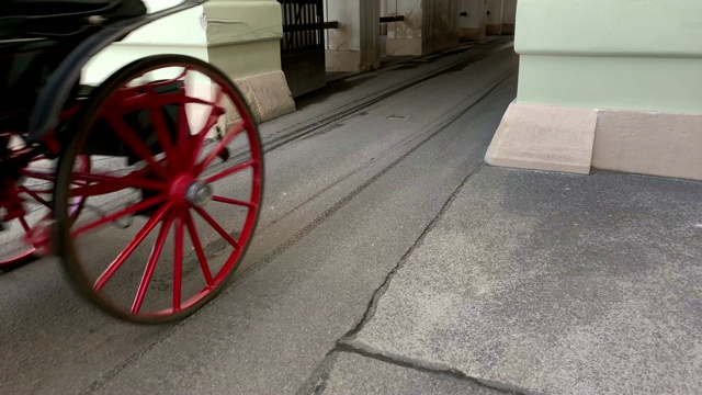 菲克马画维也纳视频素材画面4