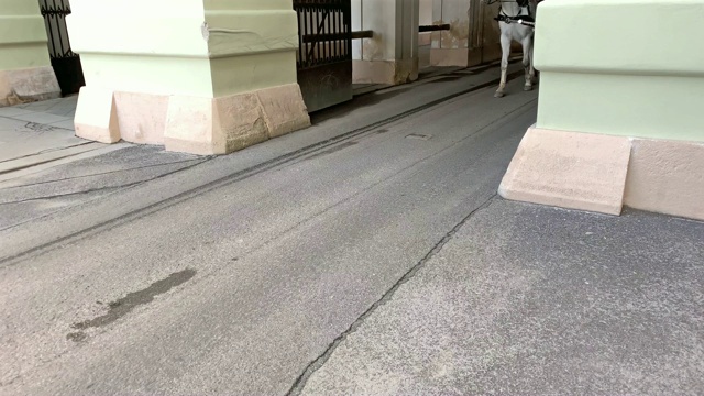 菲克马画维也纳视频素材画面1