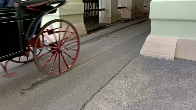 菲克马画维也纳视频素材画面3