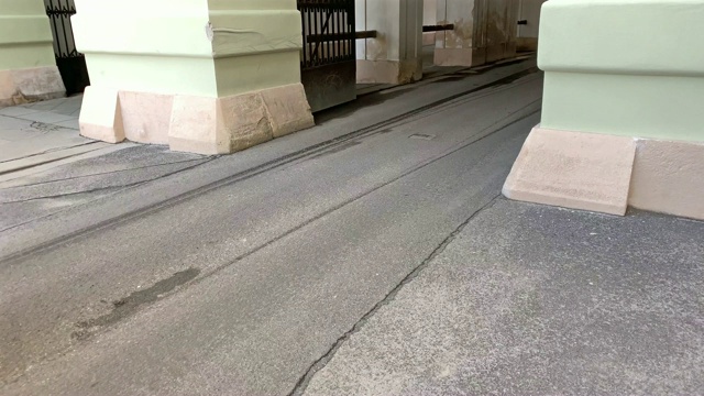 菲克马画维也纳视频素材画面4