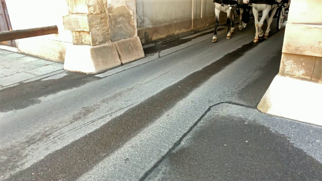 菲克马画维也纳视频素材画面1