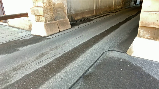 菲克马画维也纳视频素材画面3