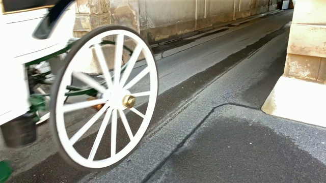 菲克马画维也纳视频素材画面4