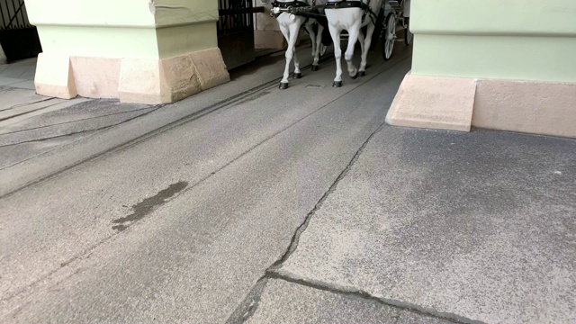菲克马画维也纳视频素材画面1