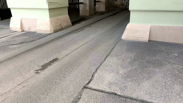 菲克马画维也纳视频素材画面2