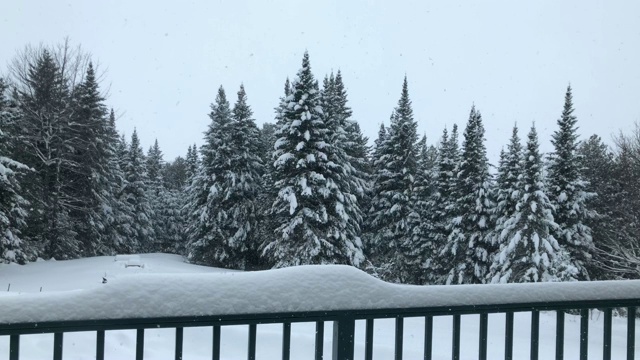 佛蒙特州的极端降雪视频素材