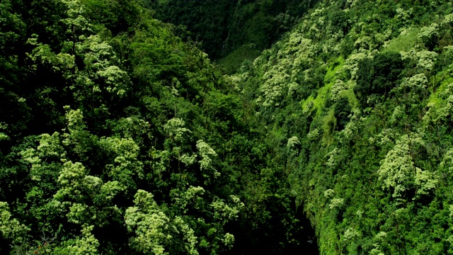 鸟瞰图火山热带雨林山谷毛伊岛美国视频素材