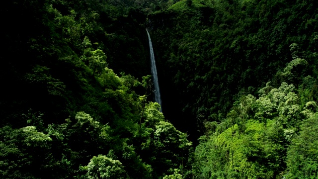 鸟瞰图火山热带雨林山谷毛伊岛美国视频素材