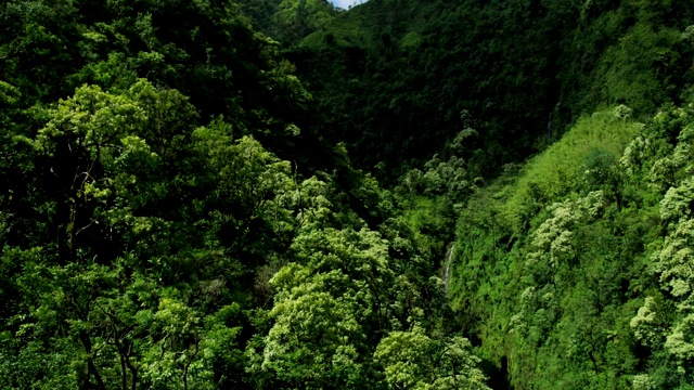 鸟瞰图热带雨林山谷瀑布毛伊岛夏威夷视频素材