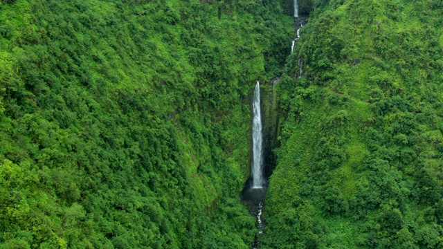 毛伊岛热带雨林山谷瀑布鸟瞰图视频素材