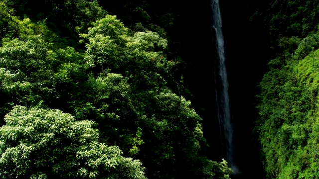 鸟瞰图热带雨林山谷瀑布毛伊岛夏威夷视频素材