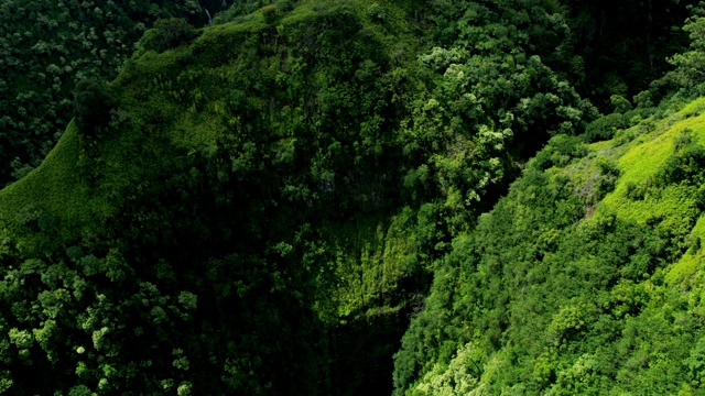 鸟瞰图热带雨林山谷瀑布毛伊岛美国视频素材