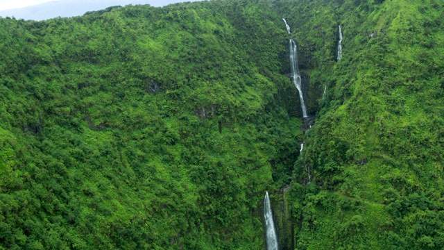 鸟瞰图热带雨林山谷瀑布毛伊岛美国视频素材