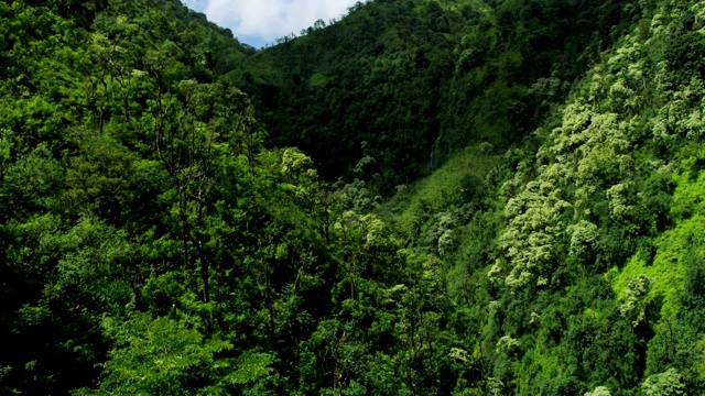 鸟瞰图火山热带雨林山谷毛伊岛美国视频素材